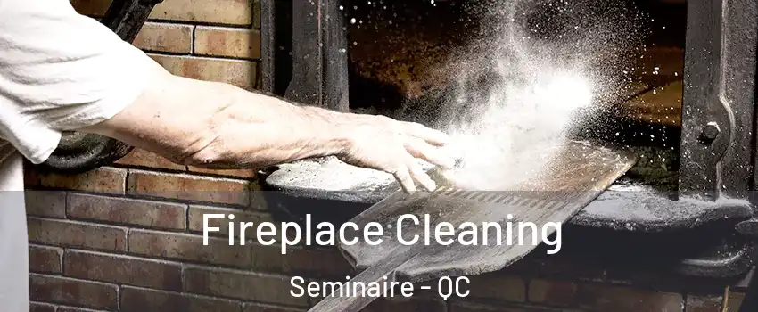  Fireplace Cleaning Seminaire - QC