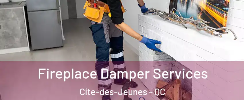  Fireplace Damper Services Cite-des-Jeunes - QC