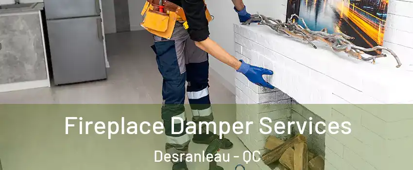 Fireplace Damper Services Desranleau - QC