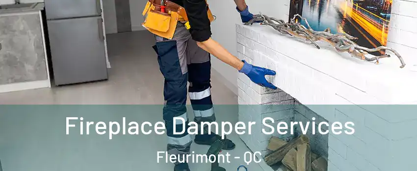  Fireplace Damper Services Fleurimont - QC