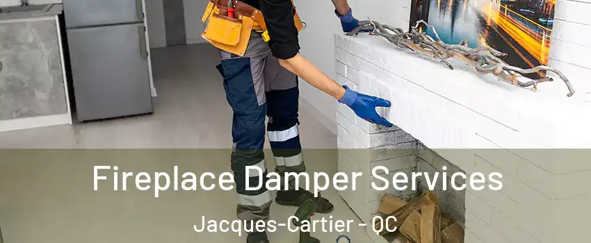 Fireplace Damper Services Jacques-Cartier - QC