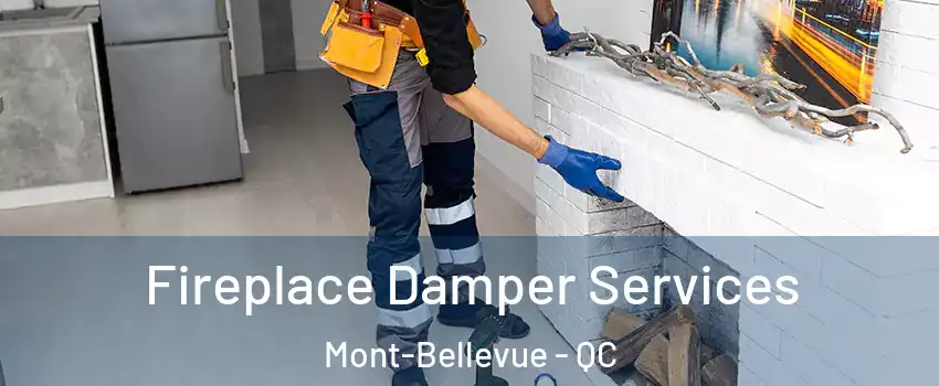  Fireplace Damper Services Mont-Bellevue - QC