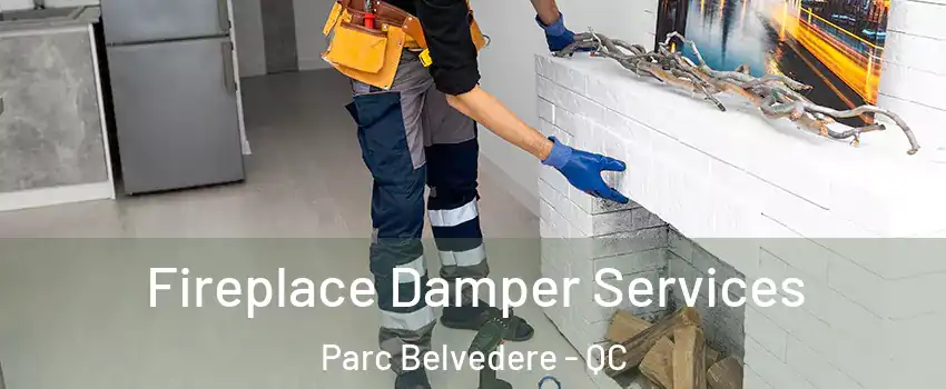  Fireplace Damper Services Parc Belvedere - QC