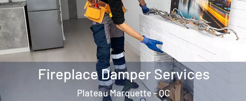  Fireplace Damper Services Plateau Marquette - QC
