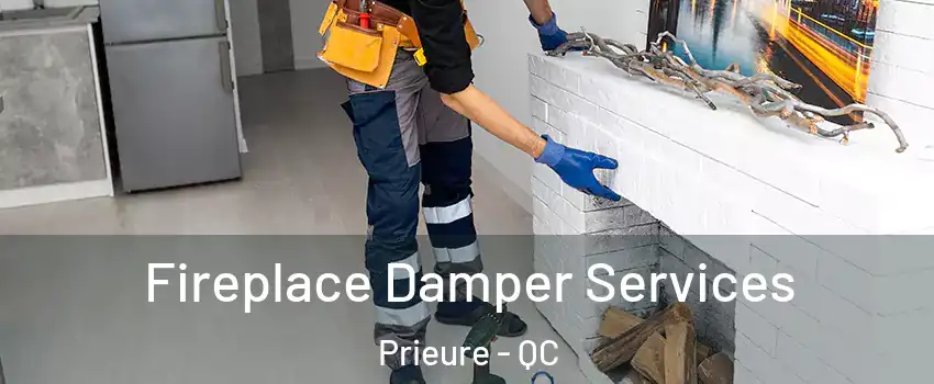  Fireplace Damper Services Prieure - QC