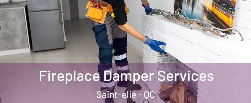 Fireplace Damper Services Saint-elie - QC