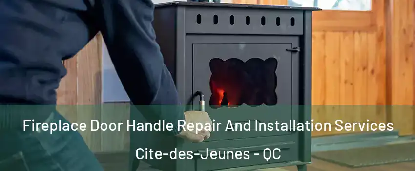  Fireplace Door Handle Repair And Installation Services Cite-des-Jeunes - QC