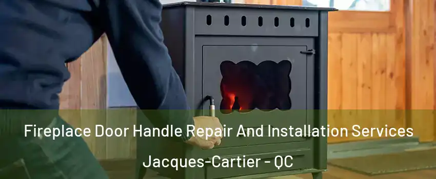  Fireplace Door Handle Repair And Installation Services Jacques-Cartier - QC