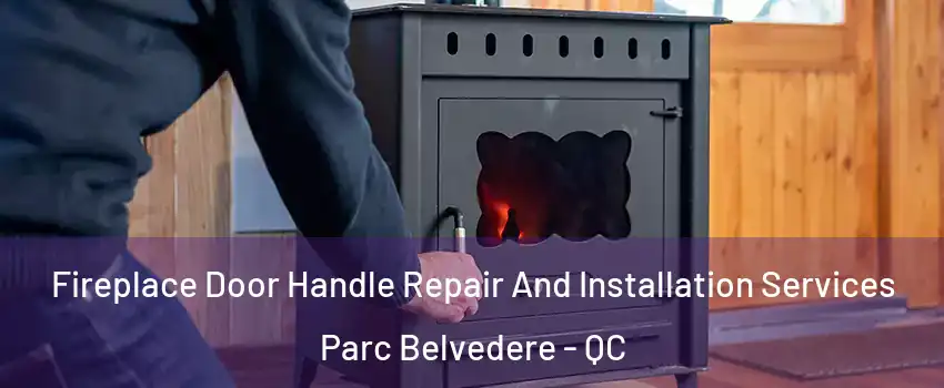  Fireplace Door Handle Repair And Installation Services Parc Belvedere - QC