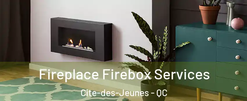  Fireplace Firebox Services Cite-des-Jeunes - QC