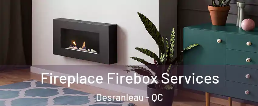  Fireplace Firebox Services Desranleau - QC