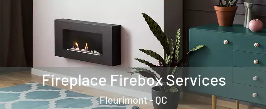  Fireplace Firebox Services Fleurimont - QC
