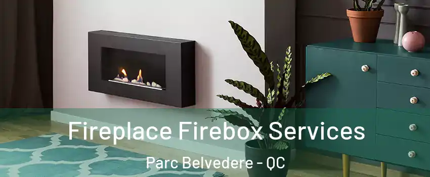  Fireplace Firebox Services Parc Belvedere - QC