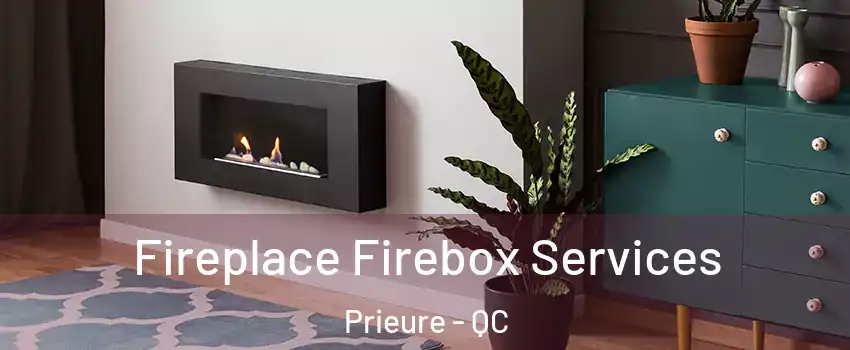  Fireplace Firebox Services Prieure - QC