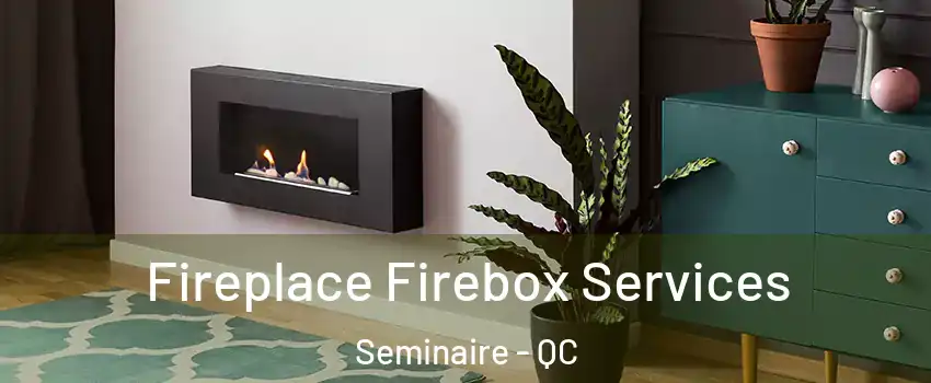  Fireplace Firebox Services Seminaire - QC