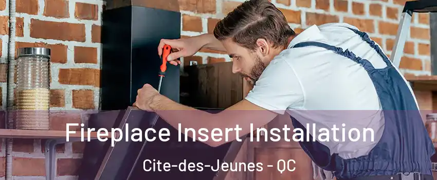  Fireplace Insert Installation Cite-des-Jeunes - QC