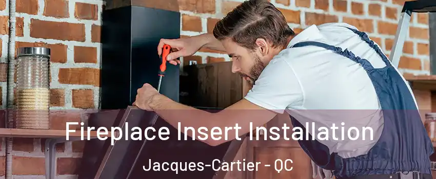  Fireplace Insert Installation Jacques-Cartier - QC