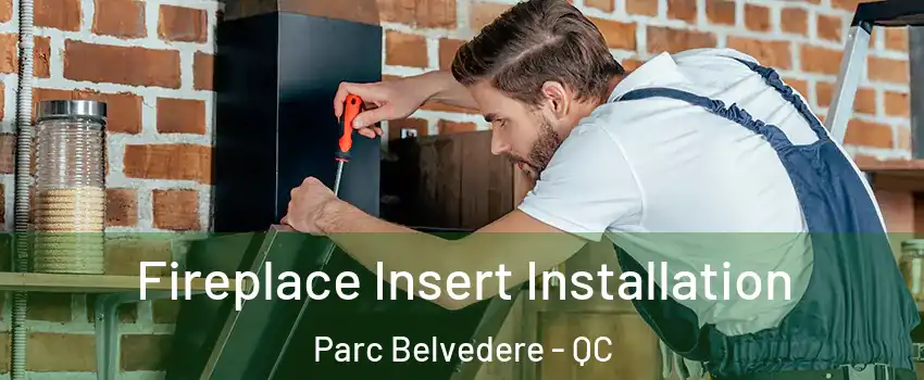 Fireplace Insert Installation Parc Belvedere - QC