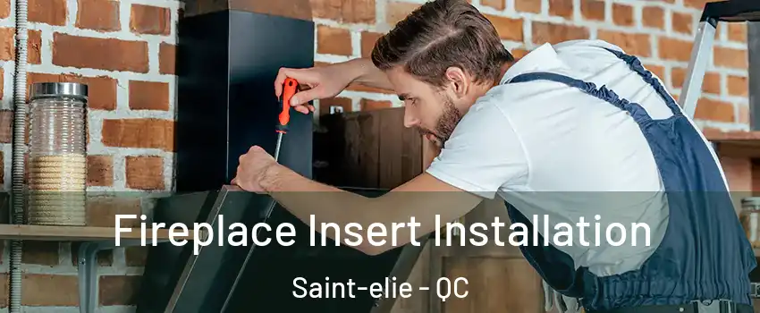  Fireplace Insert Installation Saint-elie - QC