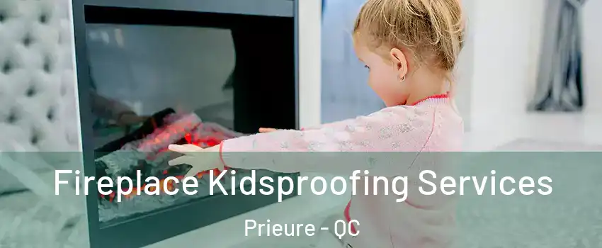  Fireplace Kidsproofing Services Prieure - QC