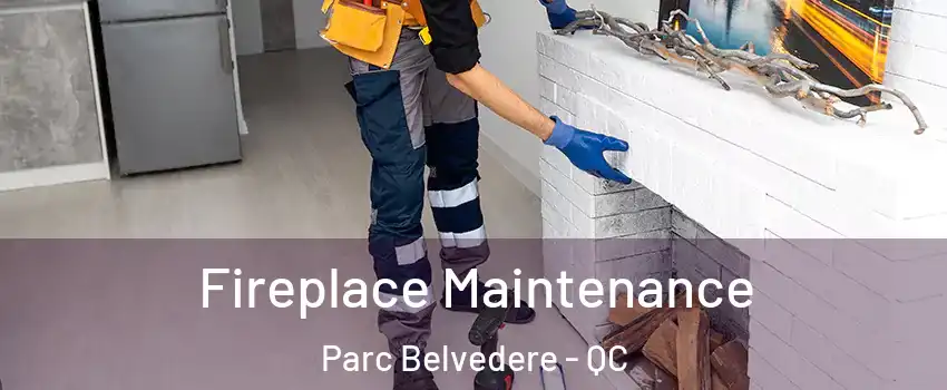  Fireplace Maintenance Parc Belvedere - QC
