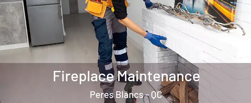  Fireplace Maintenance Peres Blancs - QC