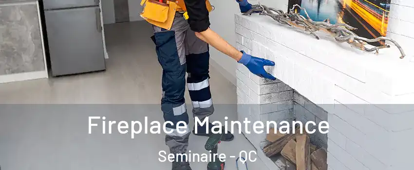  Fireplace Maintenance Seminaire - QC