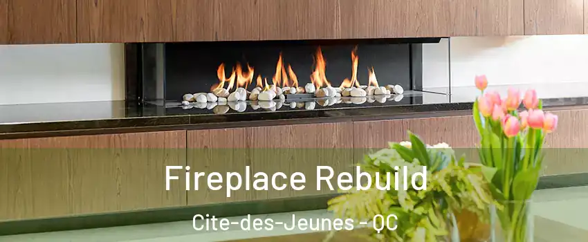  Fireplace Rebuild Cite-des-Jeunes - QC