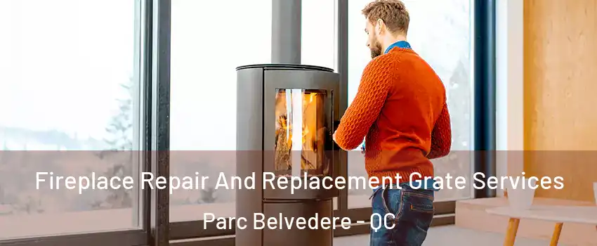  Fireplace Repair And Replacement Grate Services Parc Belvedere - QC