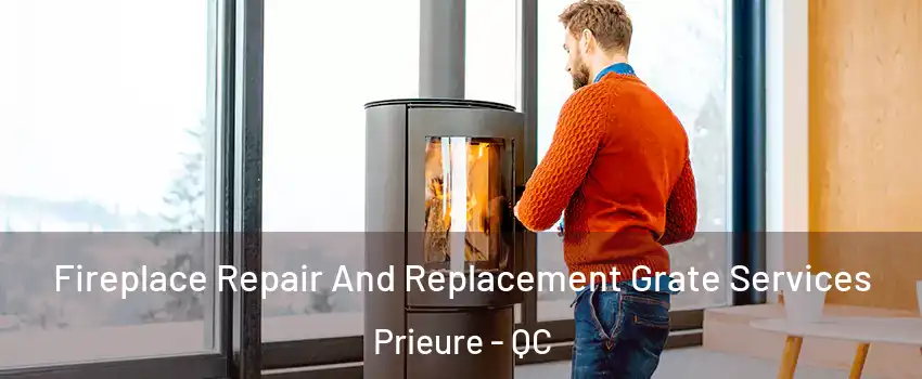  Fireplace Repair And Replacement Grate Services Prieure - QC