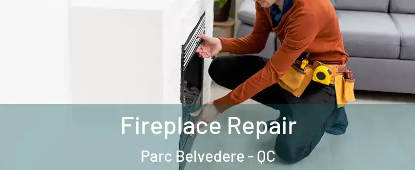  Fireplace Repair Parc Belvedere - QC