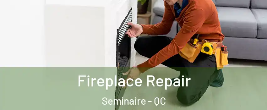  Fireplace Repair Seminaire - QC