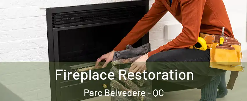  Fireplace Restoration Parc Belvedere - QC