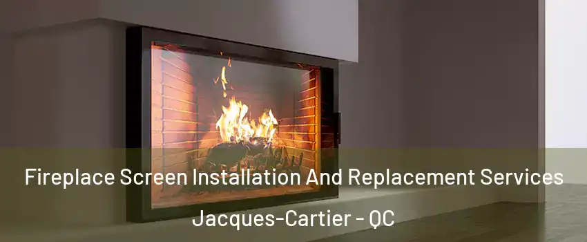  Fireplace Screen Installation And Replacement Services Jacques-Cartier - QC