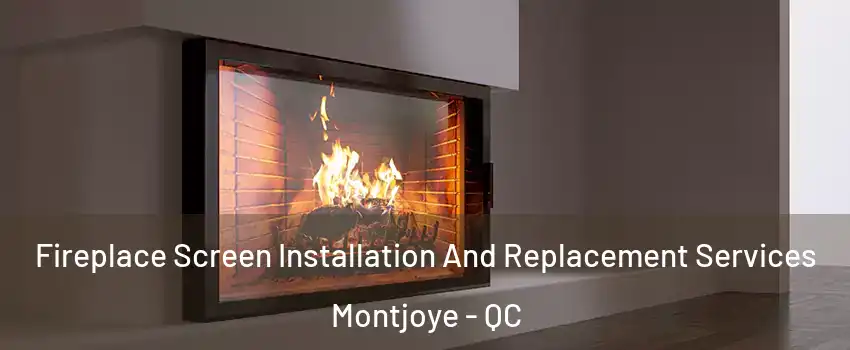 Fireplace Screen Installation And Replacement Services Montjoye - QC