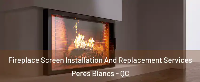  Fireplace Screen Installation And Replacement Services Peres Blancs - QC