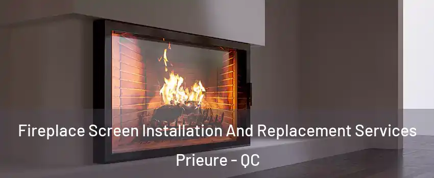  Fireplace Screen Installation And Replacement Services Prieure - QC