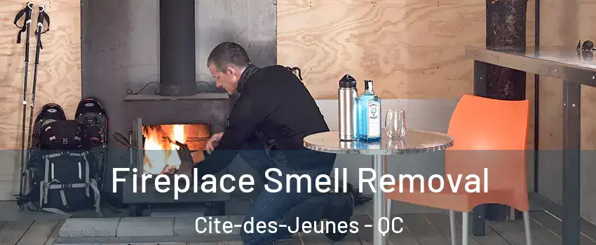  Fireplace Smell Removal Cite-des-Jeunes - QC