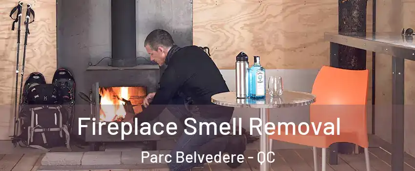  Fireplace Smell Removal Parc Belvedere - QC