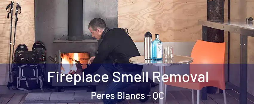  Fireplace Smell Removal Peres Blancs - QC