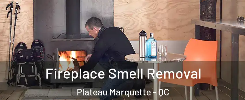  Fireplace Smell Removal Plateau Marquette - QC