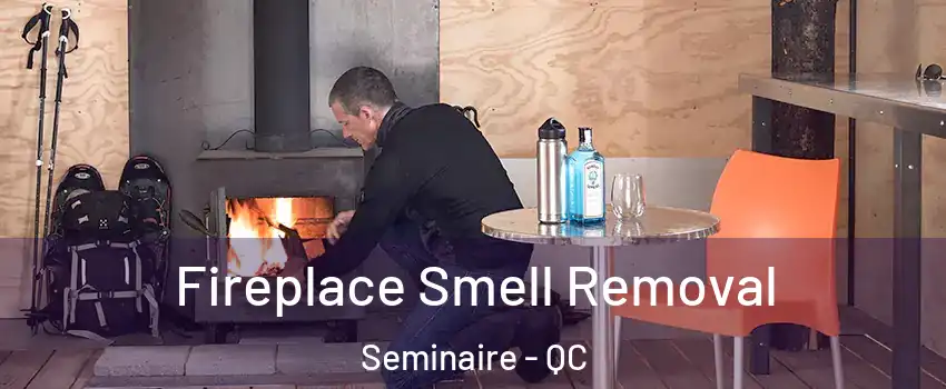  Fireplace Smell Removal Seminaire - QC