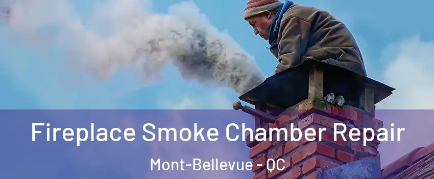  Fireplace Smoke Chamber Repair Mont-Bellevue - QC