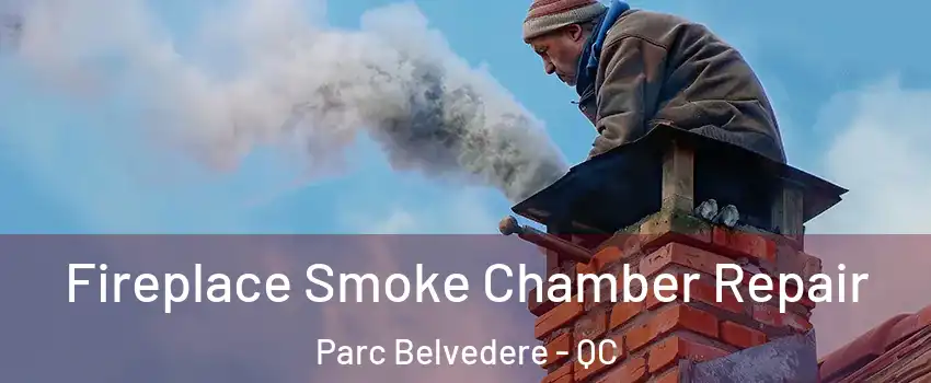  Fireplace Smoke Chamber Repair Parc Belvedere - QC