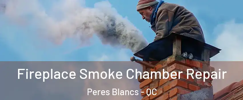  Fireplace Smoke Chamber Repair Peres Blancs - QC