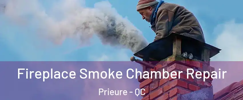  Fireplace Smoke Chamber Repair Prieure - QC