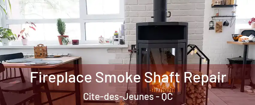  Fireplace Smoke Shaft Repair Cite-des-Jeunes - QC