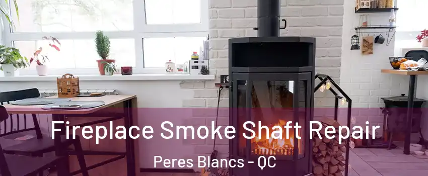  Fireplace Smoke Shaft Repair Peres Blancs - QC