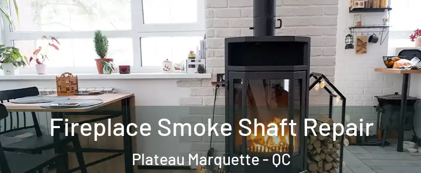 Fireplace Smoke Shaft Repair Plateau Marquette - QC