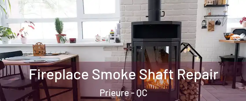  Fireplace Smoke Shaft Repair Prieure - QC